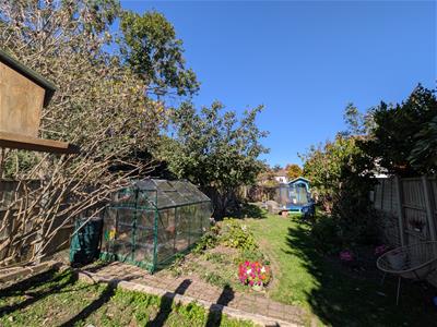 Picture 12